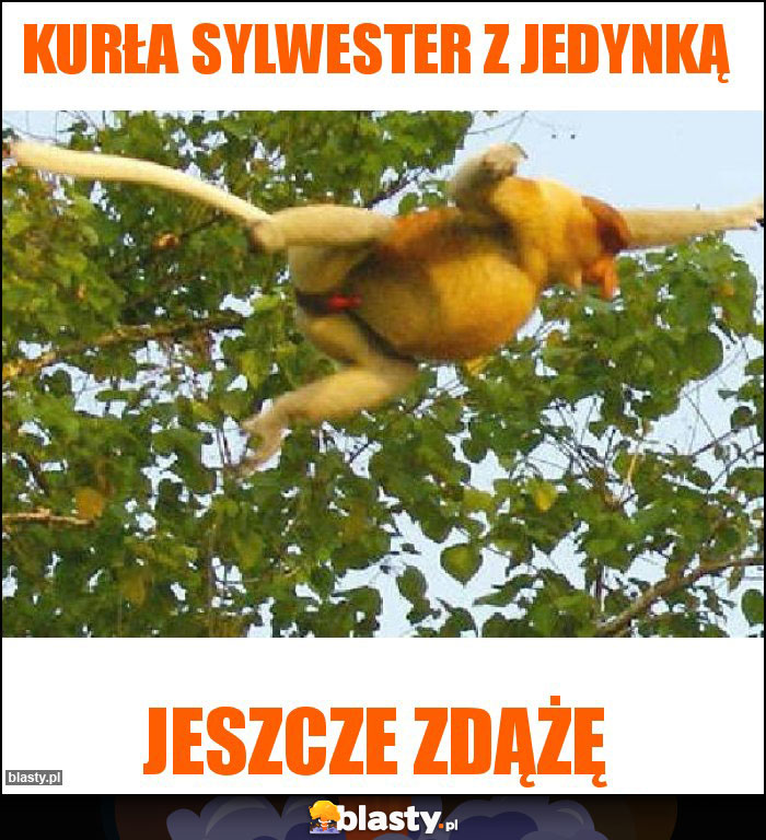 Kurła sylwester z jedynką