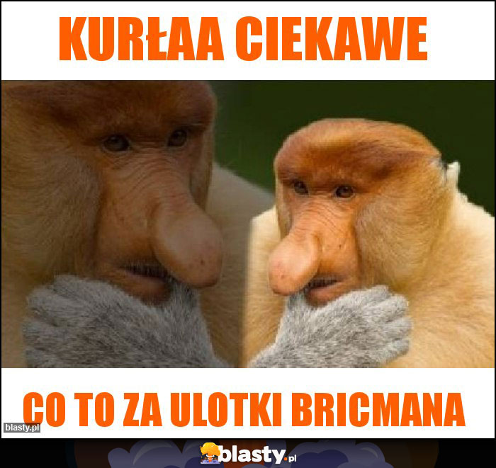 Kurłaa ciekawe