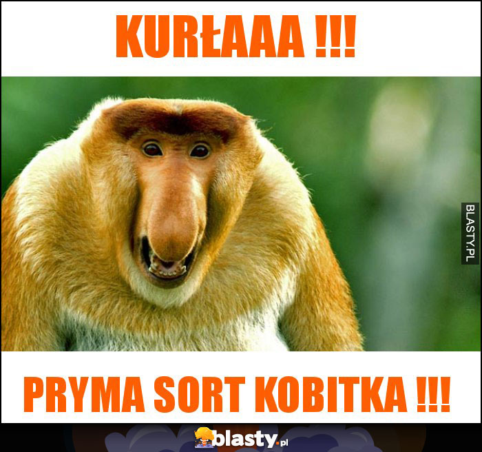 KURŁAAA !!!