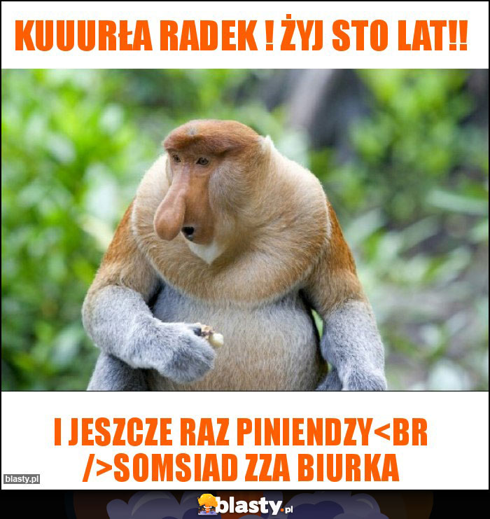 Kuuurła Radek ! Żyj sto lat!!