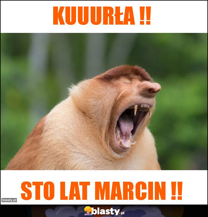 Kuuurła !!