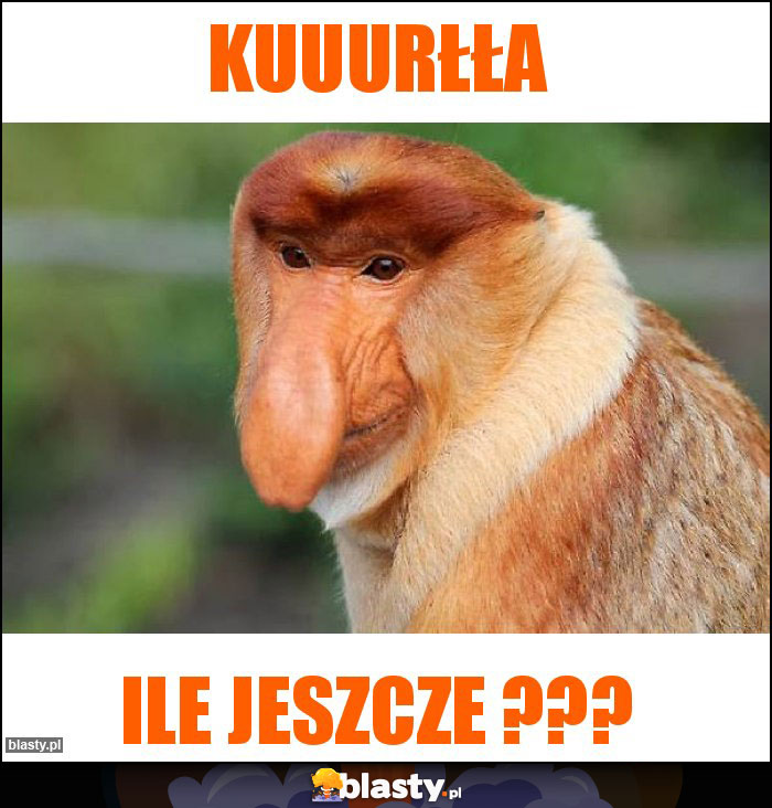 KUUURŁŁA