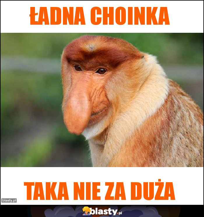 Ładna choinka