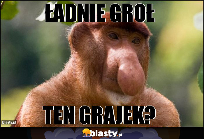 Ładnie groł