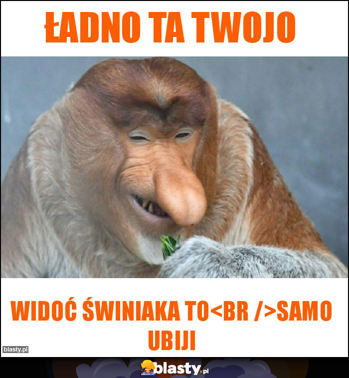 Ładno ta twojo