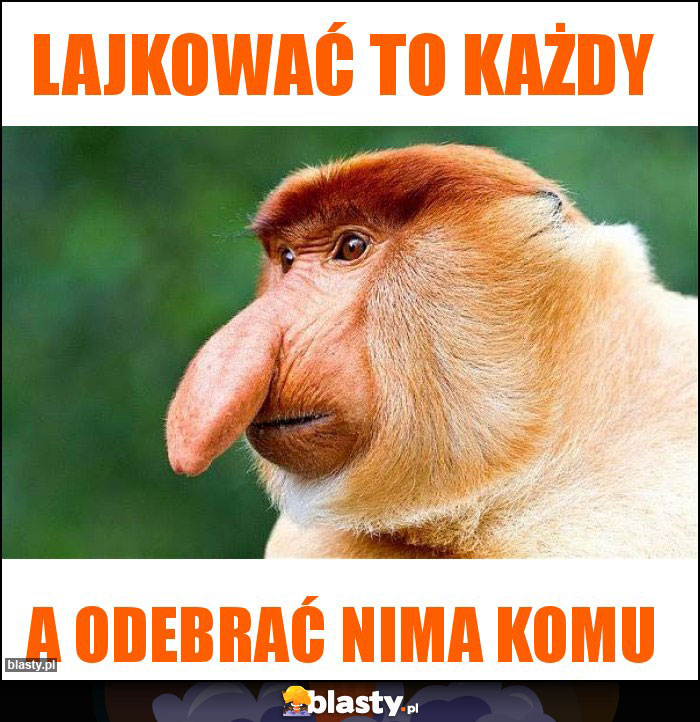 Lajkować to każdy