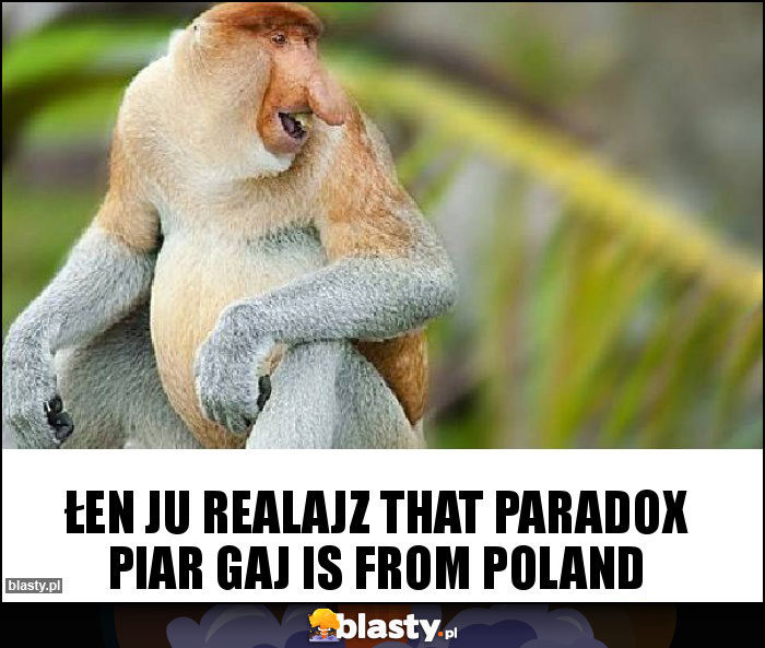 Łen ju realajz that Paradox PiaR gaj is from Poland