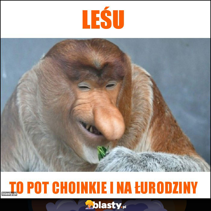 Leśu