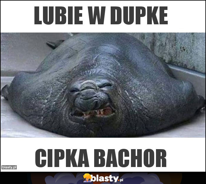 lubie w dupke