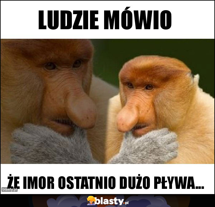 ludzie mówio