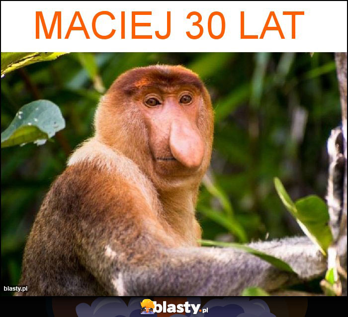 Maciej 30 lat