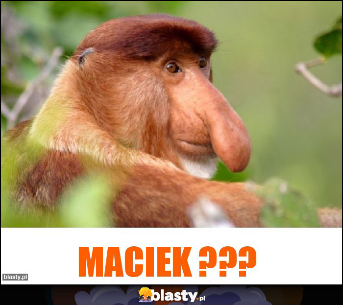 Maciek ???