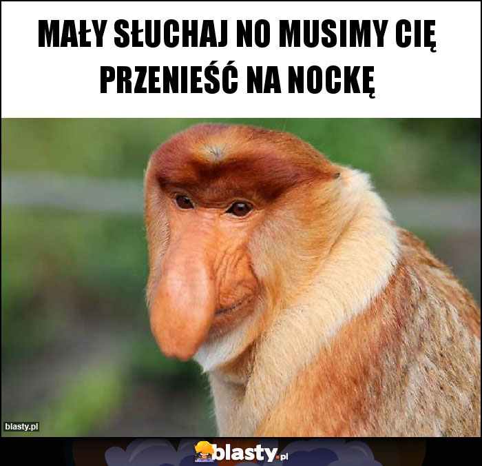 Mały słuchaj no musimy Cię przenieść na nockę