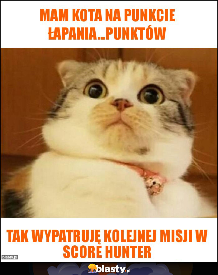 MAM KOTA NA PUNKCIE ŁAPANIA...PUNKTÓW