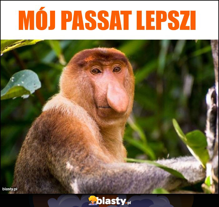 Mój passat lepszi