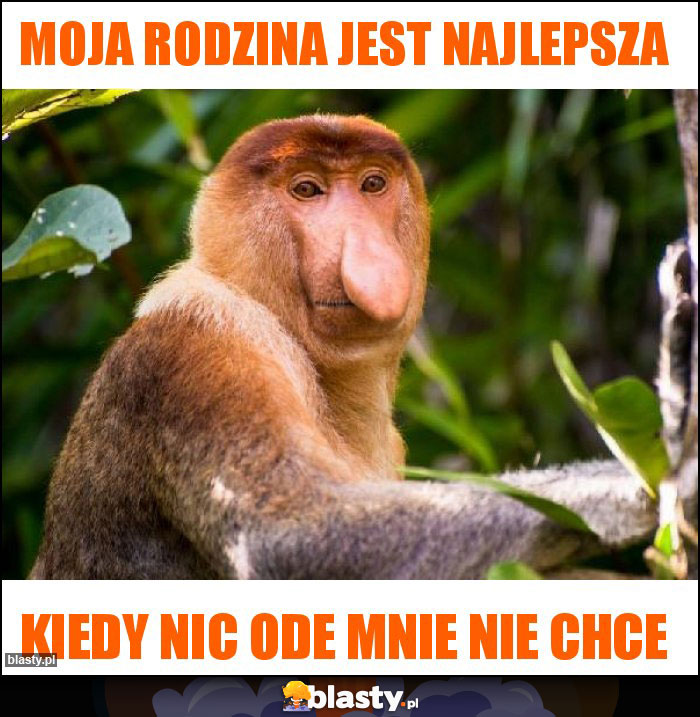 Moja rodzina jest najlepsza