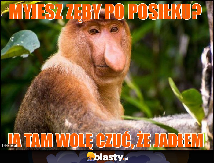 Myjesz zęby po posiłku?