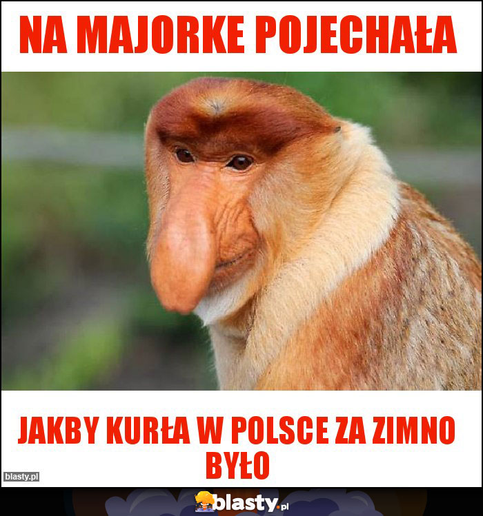 Na majorke pojechała