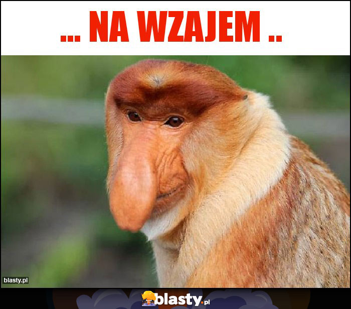 ... Na wzajem ..