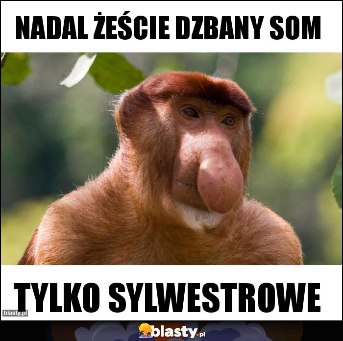 Nadal żeście dzbany som