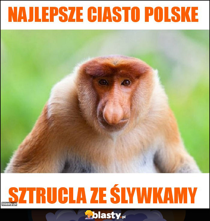 Najlepsze ciasto polske