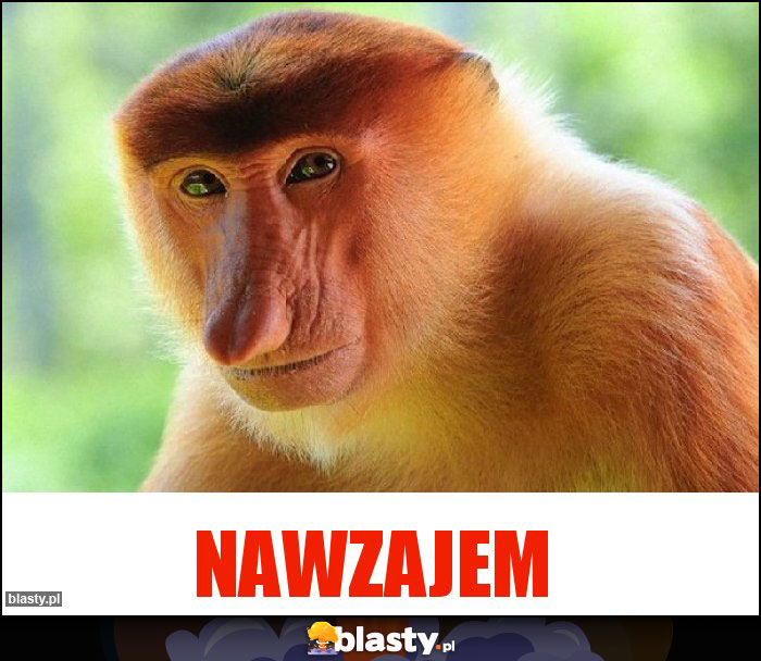 NAWZAJEM