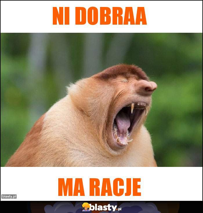 Ni dobraa