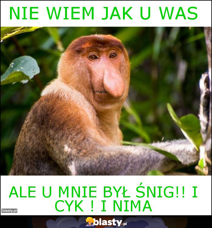 Nie wiem jak u was