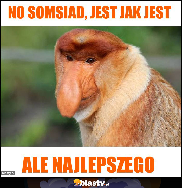 No somsiad, jest jak jest