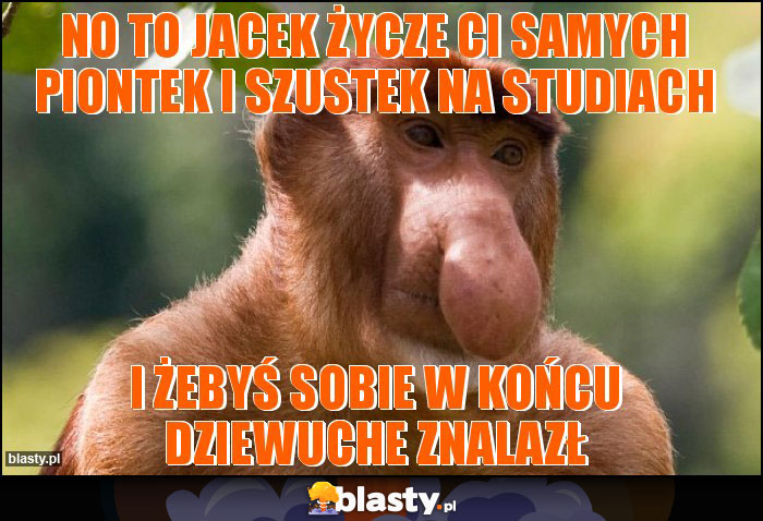 no to jacek życze ci samych piontek i szustek na studiach