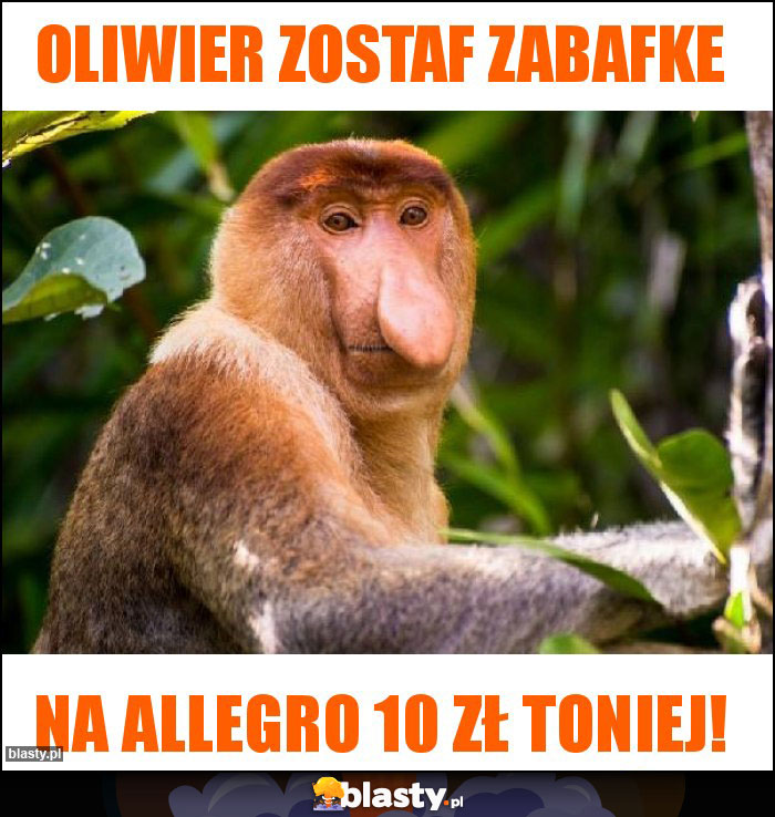 Oliwier zostaf zabafke