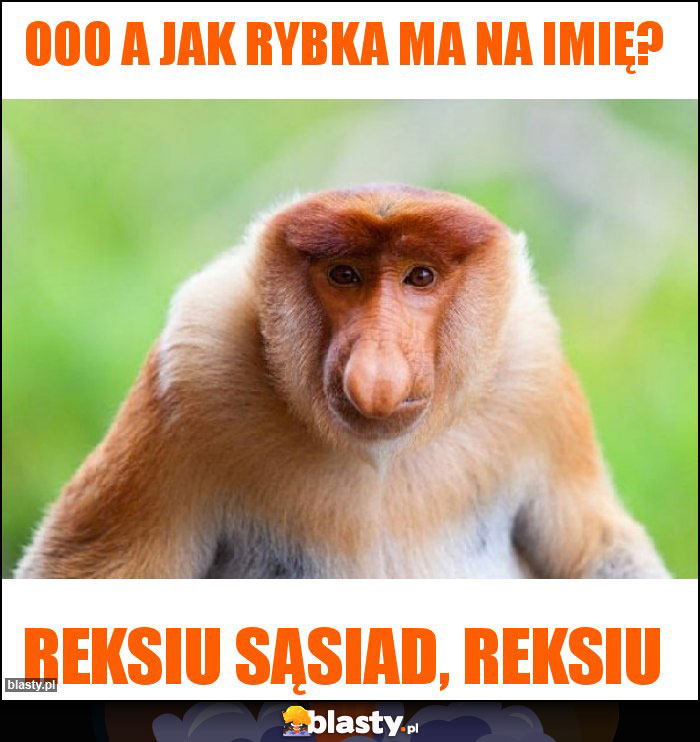 Ooo a jak rybka ma na imię?