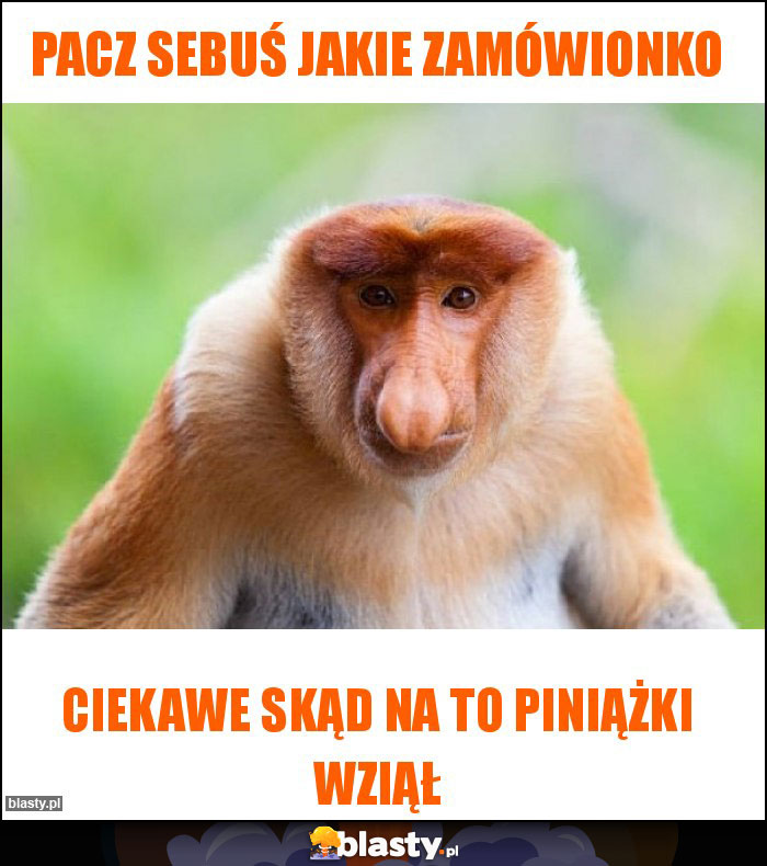 Pacz Sebuś jakie zamówionko