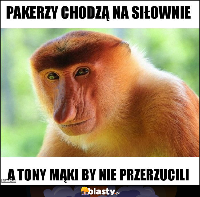 pakerzy chodzą na siłownie