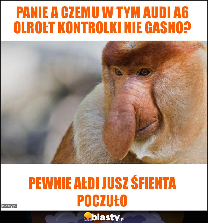 Panie a czemu w tym audi a6 olrołt kontrolki nie gasno?