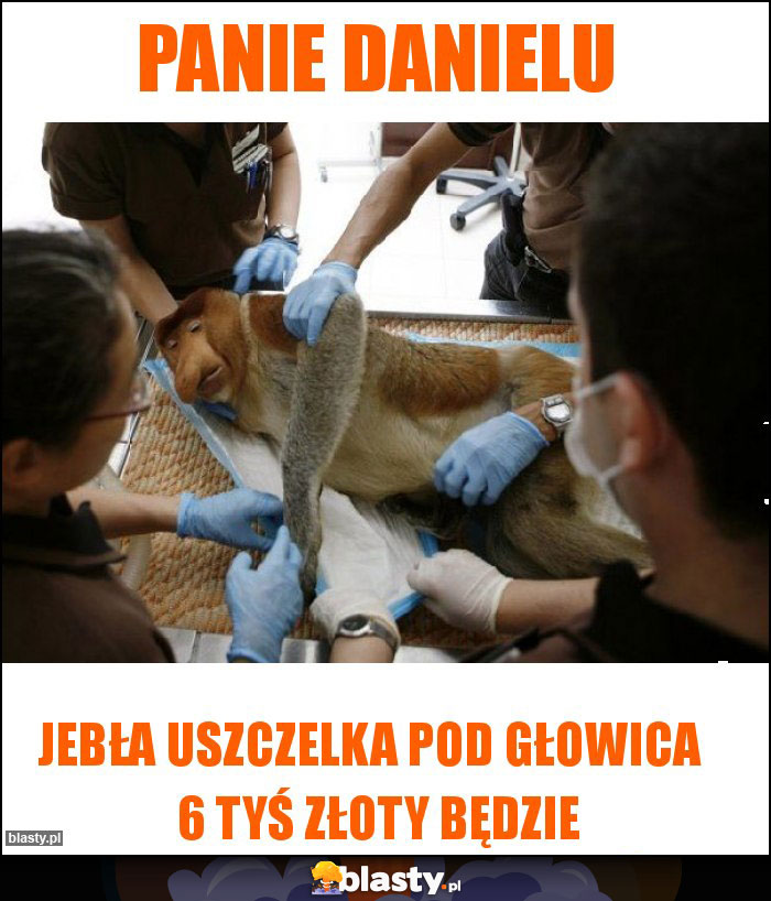 PANIE DANIELU