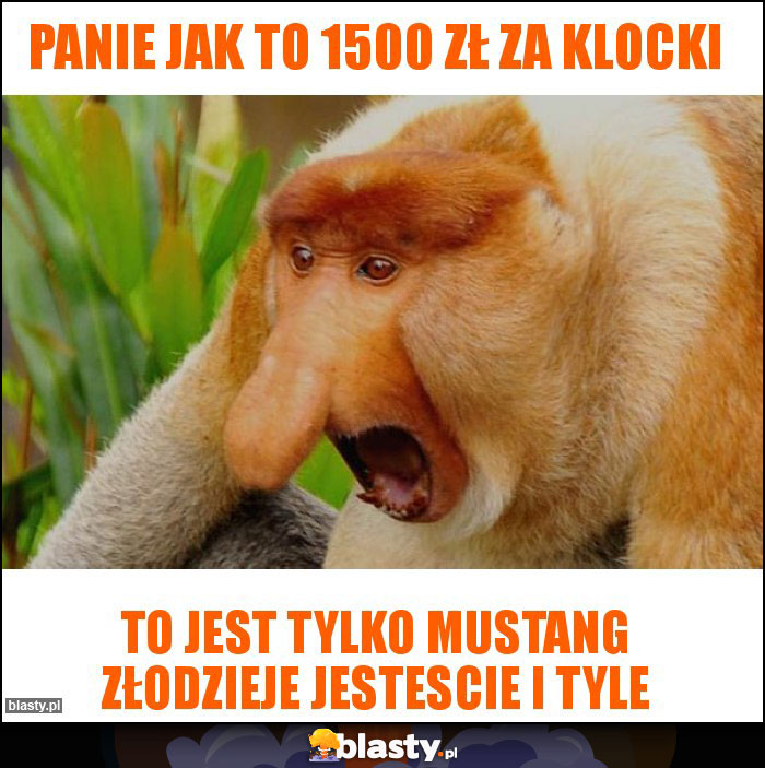 PANIE JAK TO 1500 ZŁ ZA KLOCKI