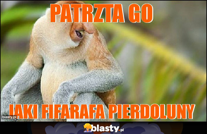 Patrzta go