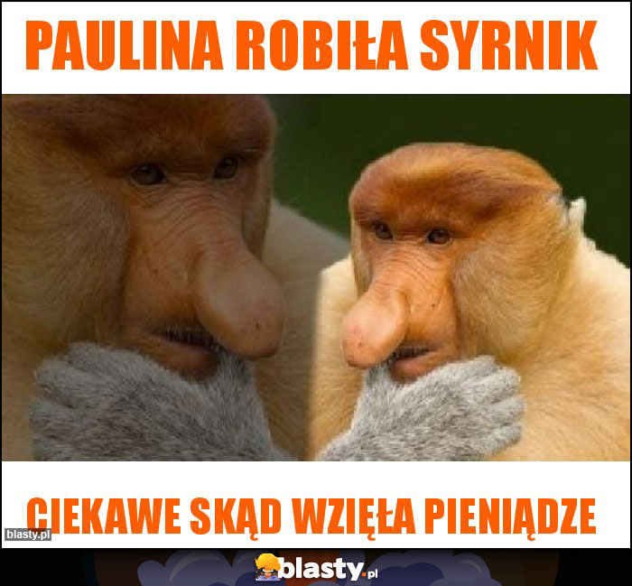 Paulina robiła syrnik