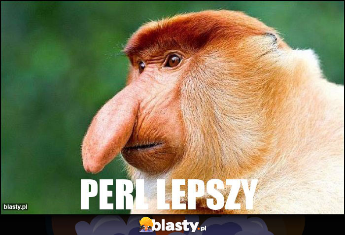 PERL LEPSZY