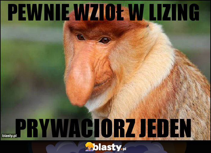 PEWNIE WZIoł w LIZING