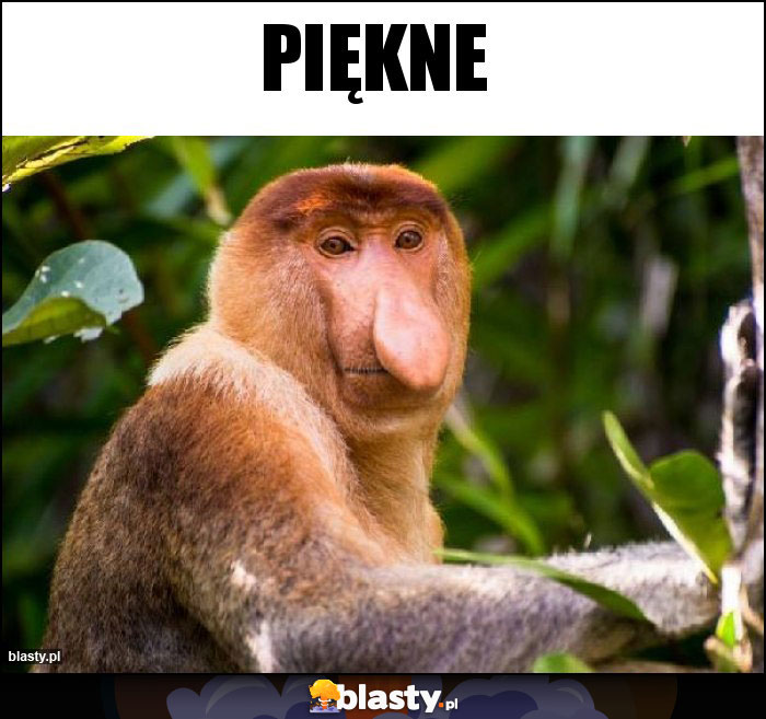 Piękne