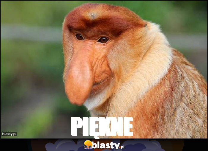 Piękne