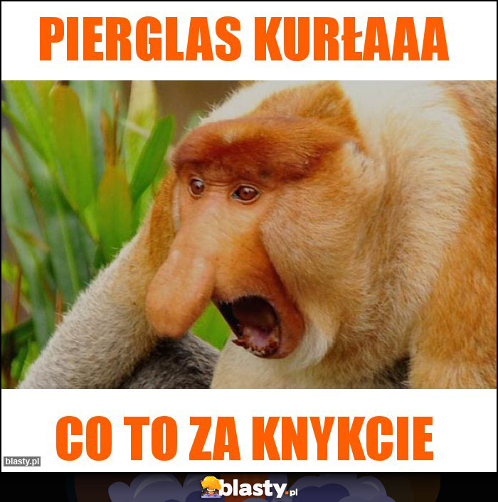 Pierglas kurłaaa