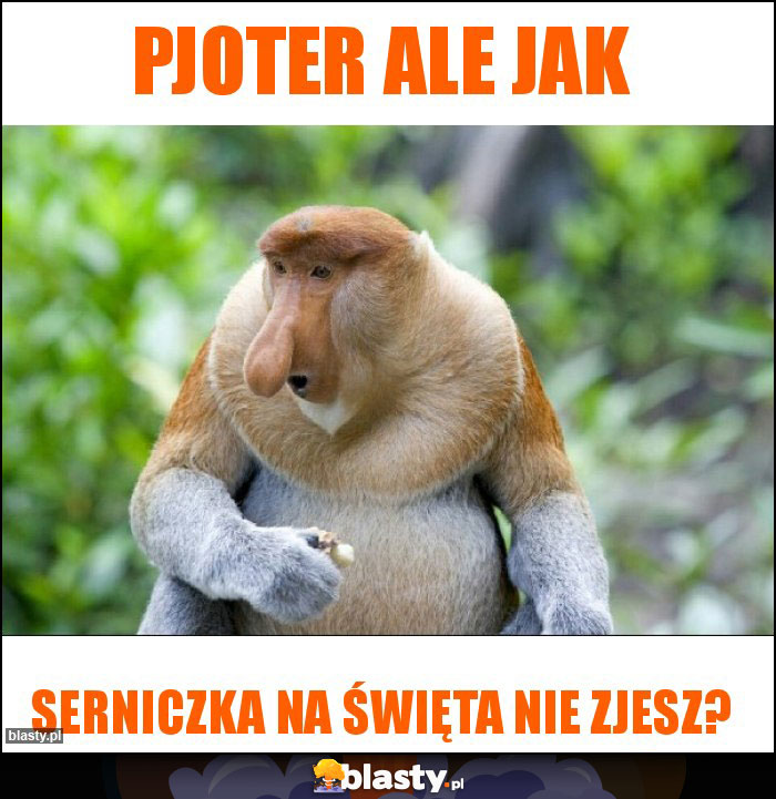 Pjoter ale jak