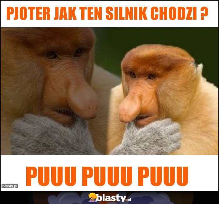 PJOTER JAK TEN SILNIK CHODZI ?