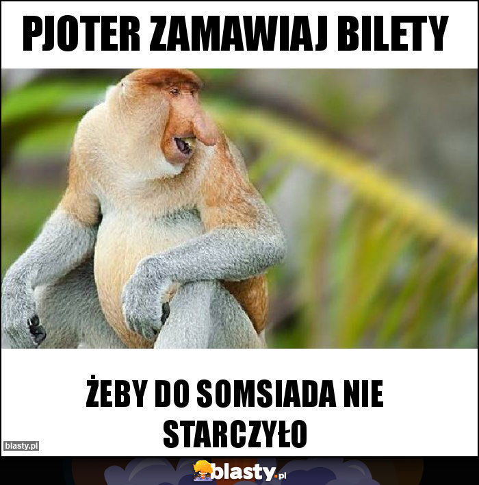 Pjoter zamawiaj bilety