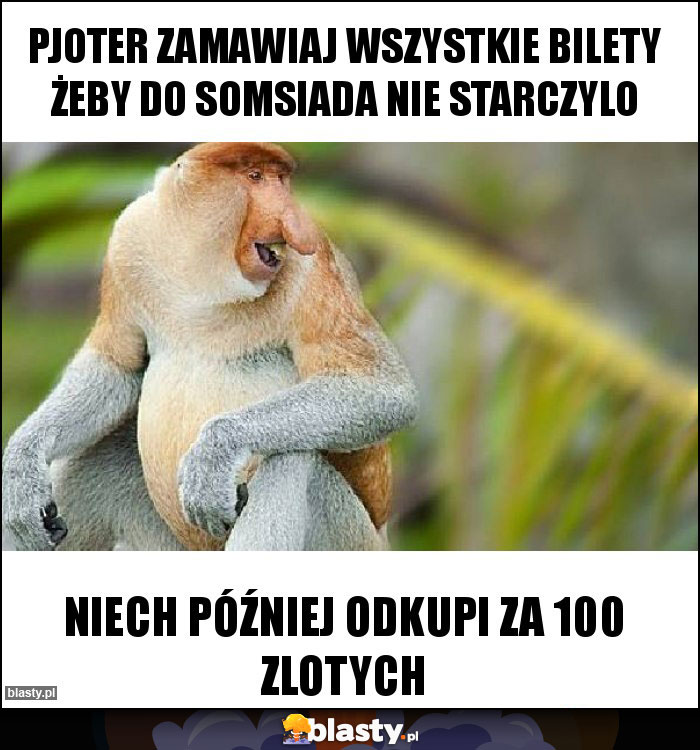 Pjoter zamawiaj wszystkie bilety żeby do somsiada nie starczylo