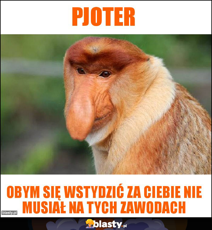 Pjoter