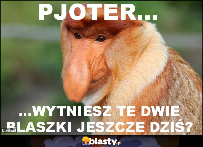 Pjoter...